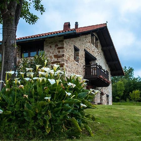 Apartamentos Rurales Larrago Busturia Exterior photo